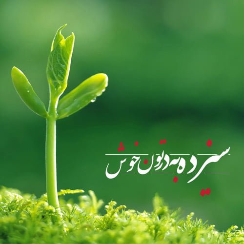 جملات تبریک سیزده بدر؛ جمله کوتاه درباره سیزده بدر و روز طبیعت