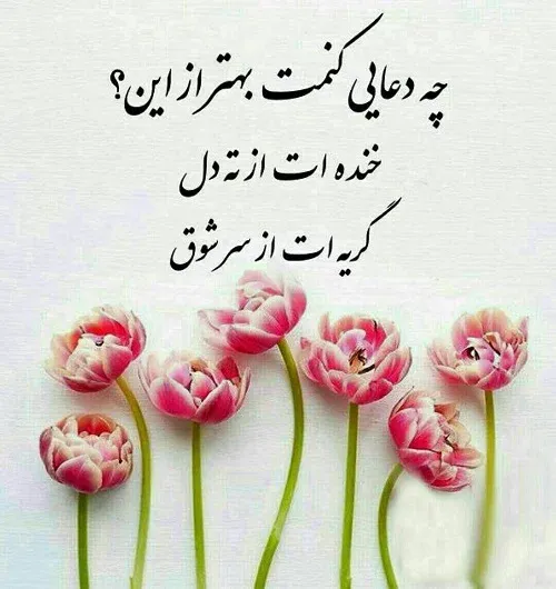جملات آرزوی شادی و موفقیت