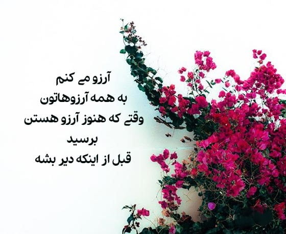 جملات آرزوی شادی و موفقیت