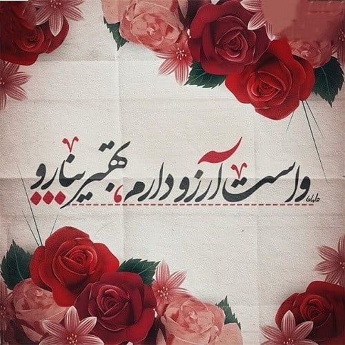 جملات آرزوی شادی و موفقیت